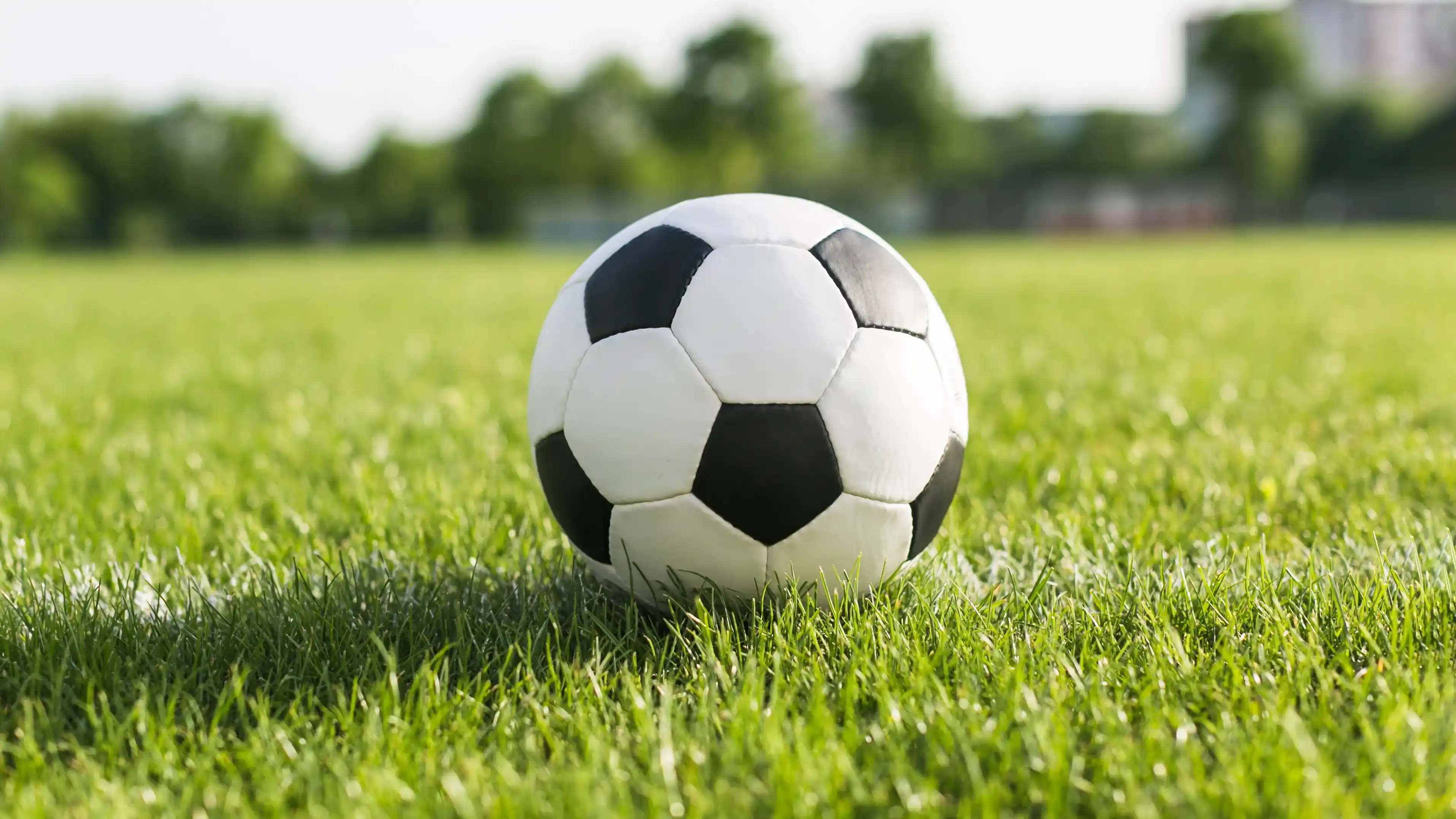 Fantasy Football Tutorial